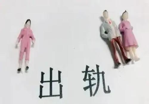怎样可以提请证人作证？